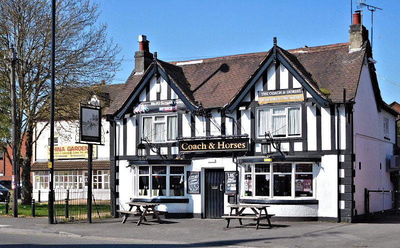 Coach Horses 2019