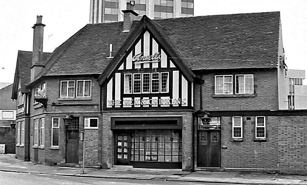 Hen and Chickens