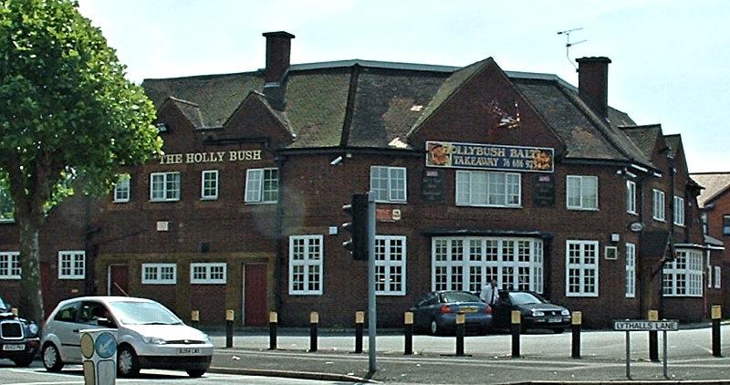 Hollybush