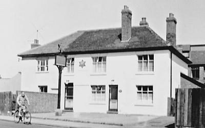 Red Horse Barras Green