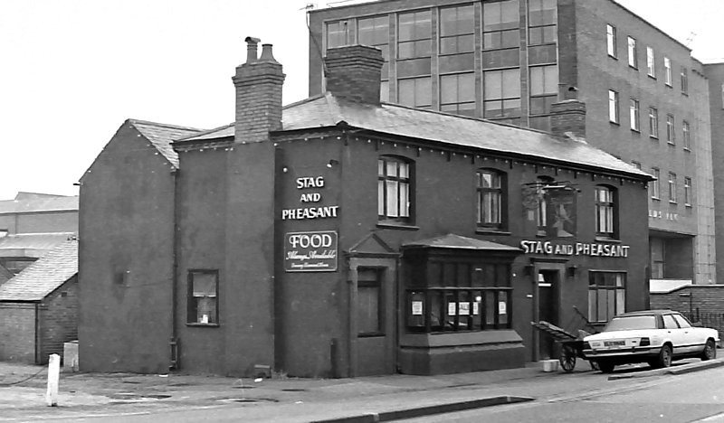 Stag Pheasant Lockhurst La